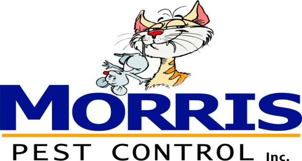 294930388 490769839715443 4821458394345896497 n